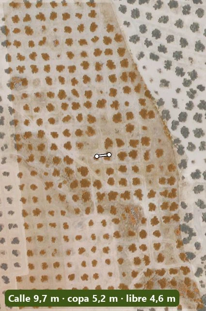 Un olivar en la foto aérea con las copas marcadas: calle 9,7 m, copa 5,2 m, libre 4,6 m